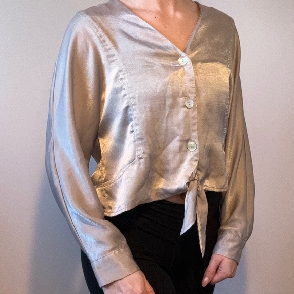 Shiny Button Up Blouse - Picture 1 of 6